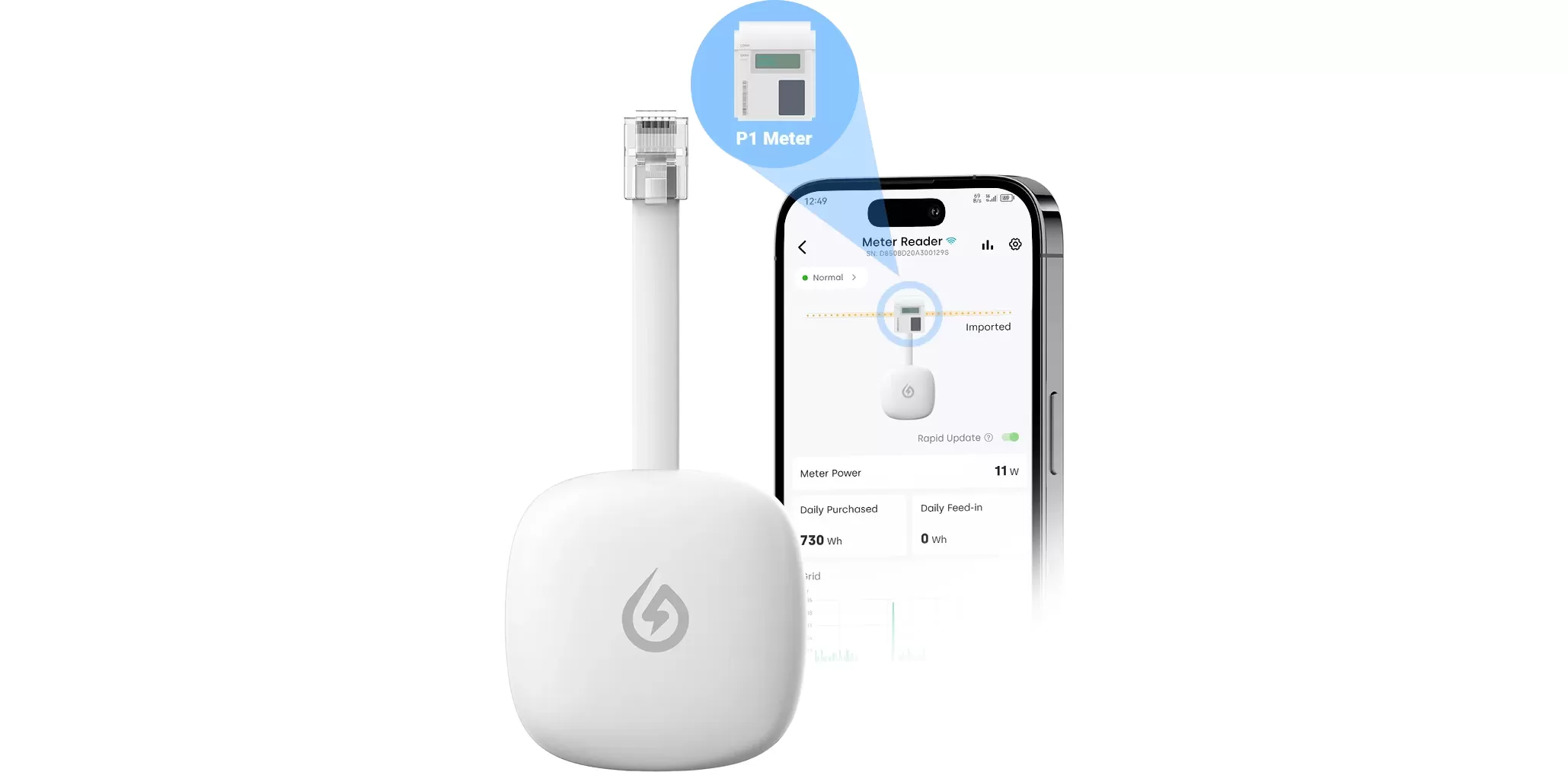 How to Install the P1 Meter Reader?