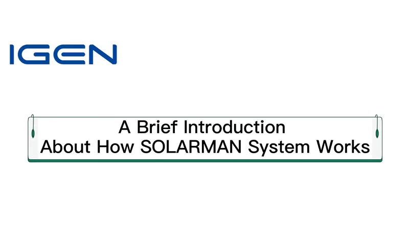 Instructions for SOLARMAN Business Web