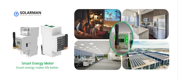 Smart meters: bringing wisdom to energy management