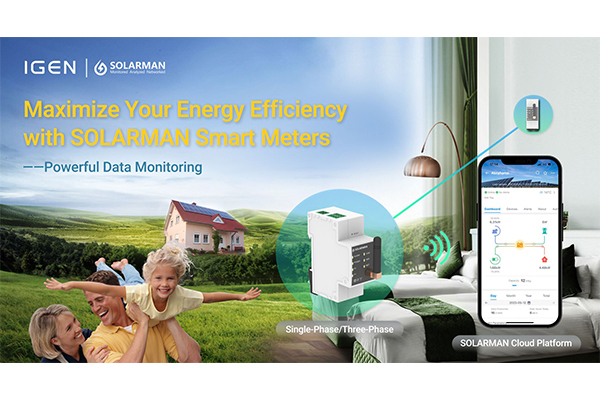 SOLARMAN Smart Meter