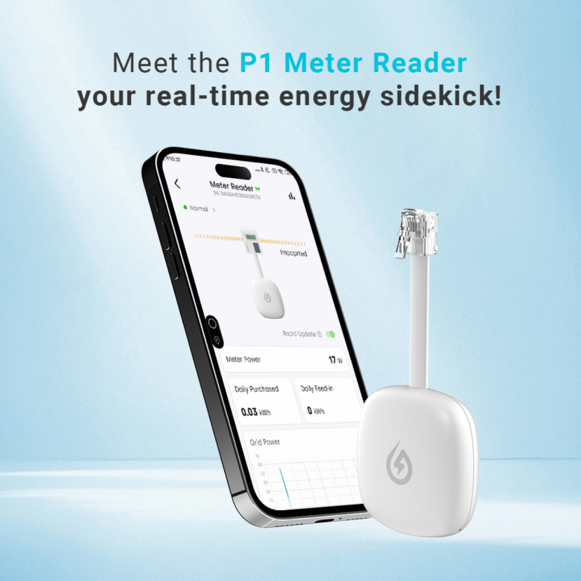 Meet Your Home's Energy Intelligence Partner – Solarman P1 Meter Reader